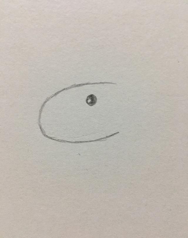 简笔画——小马驹的画法