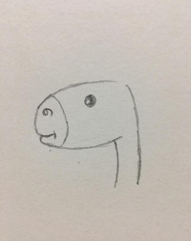 简笔画——小马驹的画法