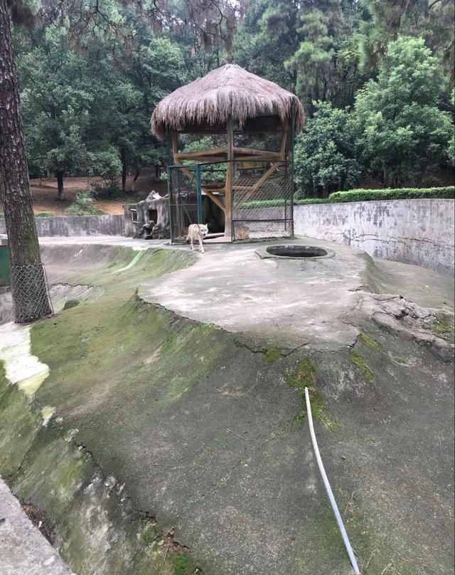 自驾游一日游九峰山森林动物园,动物们争相卖萌