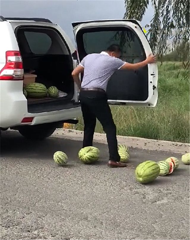 男子用普拉多载西瓜,打开后备箱那一刻,全部摔