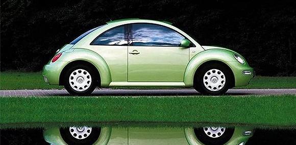 83年, 地球最年长的“甲壳虫”成长史