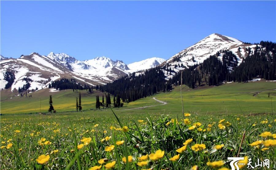 伊宁微信400全套人到付款靠谱吗？全面解析伊宁交通与交友应用