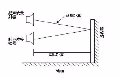 超声波有没有危害 动物超声波的神奇本领