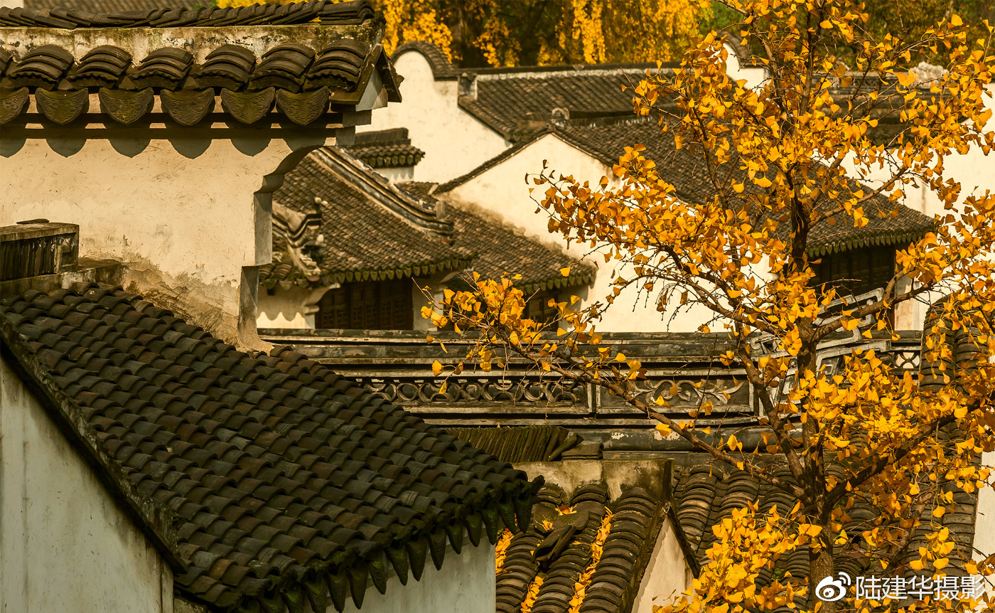 成都与你号：一座城市的烟火与诗意