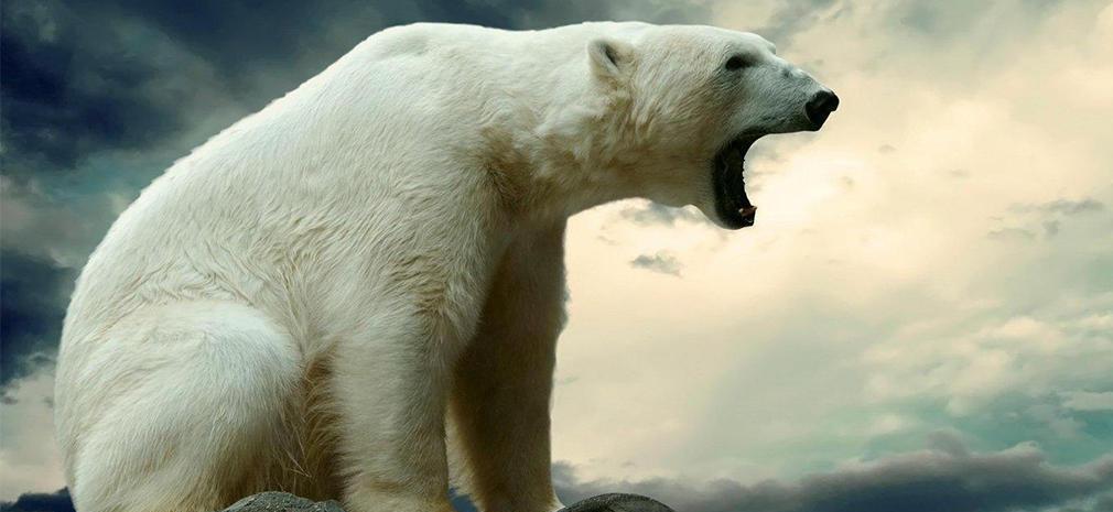 因为俄罗斯太霸道, 此国只能望洋兴叹, 边境离北