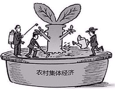 叶县:大力发展村集体经济 带领群众脱贫致富