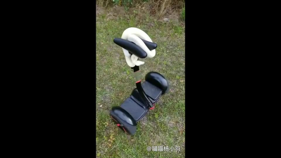 白蛇打劫平衡电动车，车技666  白素贞，你好调皮哦     ​