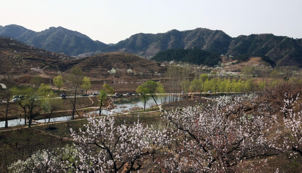 榆林网红地绥德郭家沟村,虽然在山沟里,但是风