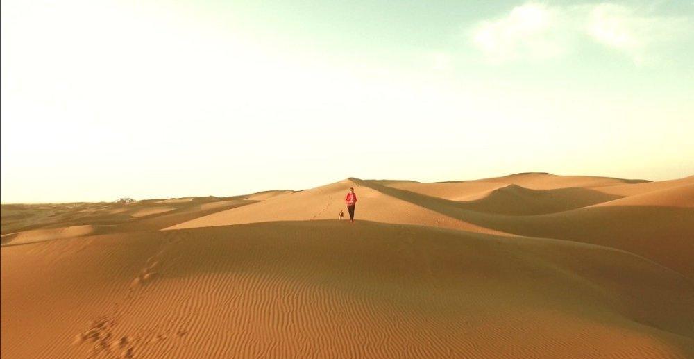 一个人自驾游带狗狗去内蒙古沙漠玩