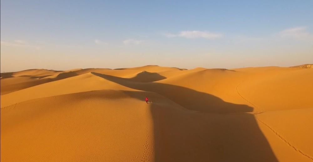 一个人自驾游带狗狗去内蒙古沙漠玩