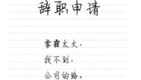 史上最搞笑的辞职信老板:对不起大全什么想表情包的,我看上1了图片