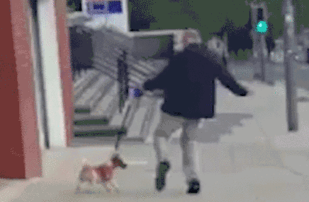 男子当街虐狗,狗狗被踢得血溅一地,你有什么理由这么