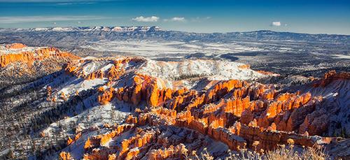 色如渥丹 灿若明霞