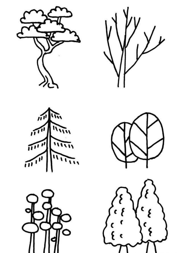 树还有这么多种画法,画树再也不单调了,适合3—6岁宝宝的简笔画