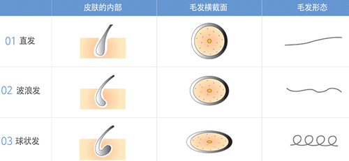 韩国医院发际线移植毛囊成活率高吗?