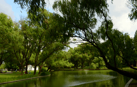 日本人最喜欢中国的这座城市, 10万人来此定居