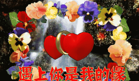 情侣聊天表情包,甜蜜蜜,不用打字能聊一晚上「浪漫唯美」