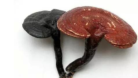 一个皮蛋正确打开方式，终于知道怎么吃！