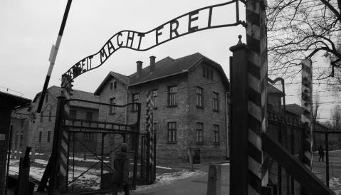 奥斯维辛集中营残酷真相 人性黑暗与历史反思