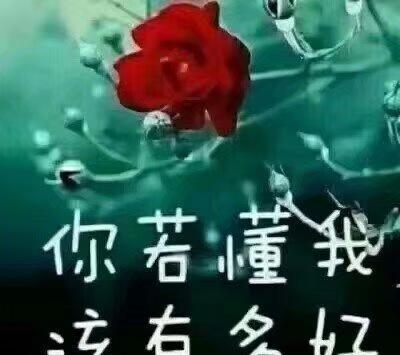 找一个懂你,爱你,知你,疼你,保护你的爱人