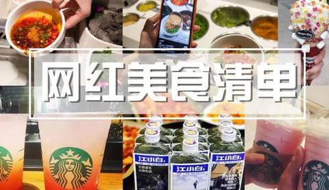 2018年史上最全《抖音网红美食手册》