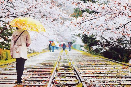 爱情没有谁对谁错,伤感的唯美句子