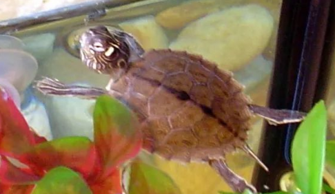 我滴个龟龟!你们可真秀,来看看你都认识哪些地