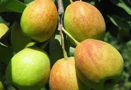 库尔勒疫情严重吗 新疆疫情最新情况