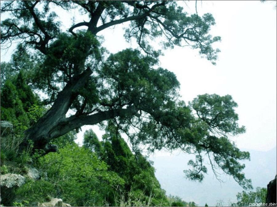 牛郎织女故乡,山东淄博沂源五个值得一去旅游