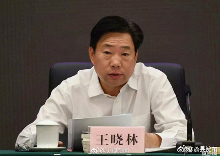 国家能源局原副局长王晓林严重违纪违法被开除