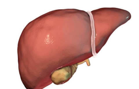 经期可不可以抽血检查肝功能?或出现偏差,不提