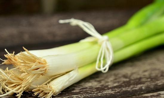 大葱不能和什么一起吃