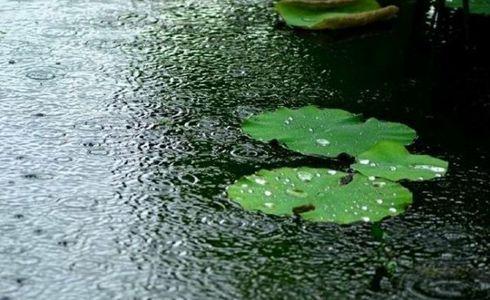 嫌犯溺亡,愿被害空姐安息