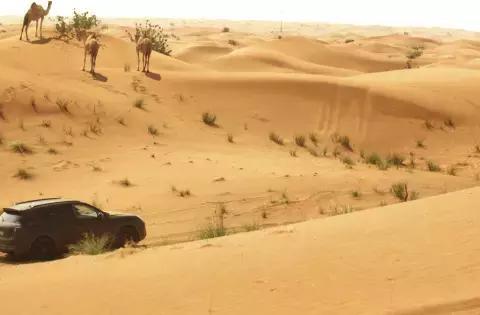 又要加钱上？全新保时捷Cayenne呼之欲出