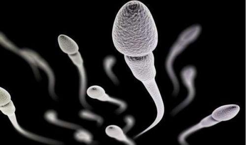 哈尔滨游泳教练婚后4年妻子不孕, 医生说是因