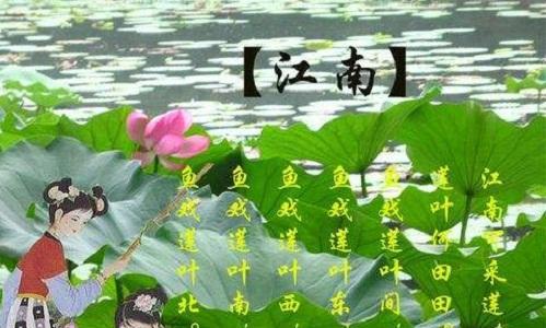 消失了的传统民间节日--观荷节