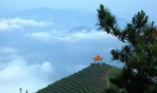 「自在游临海」养眼,养颜,羊岩山