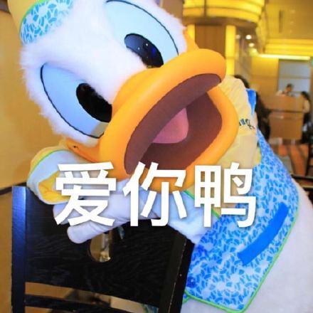 唐老鸭约人表情:今天吃鸭、求芭鸭、大全的担心图片包表情图片