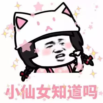 仙女专用表情包:请记住我的名字,我叫小仙女!