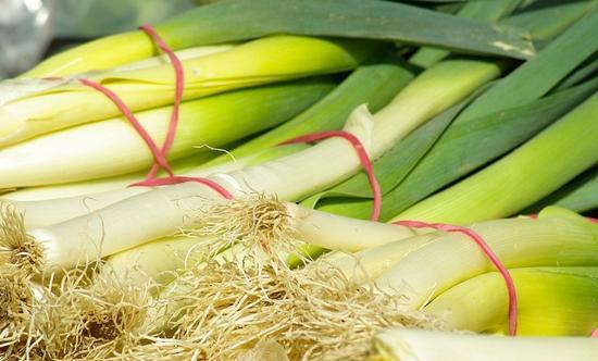 大葱不能和什么一起吃