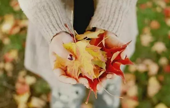 高估自己在别人心里的位置,最卑贱不过感情!