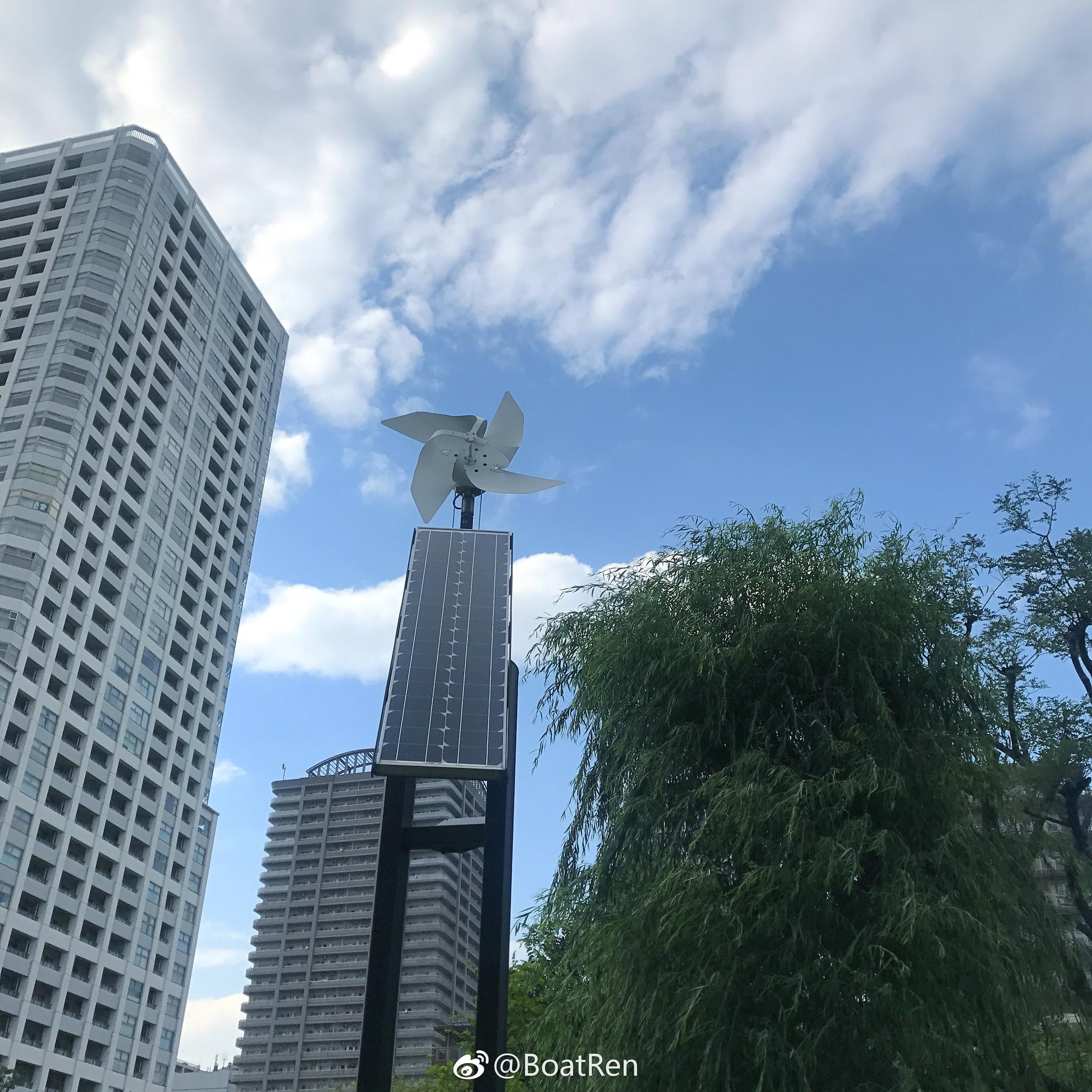 最后一天在东京看到路边的紫阳花总是忍不住想要拍照本来想去台场 台场 富士山 紫阳花 新浪新闻