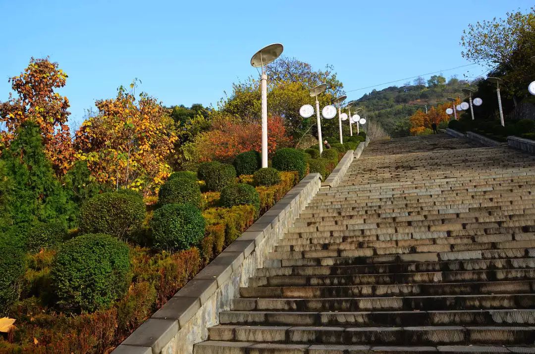 宝鸡城区踏青路线,统统免费,一起约起!