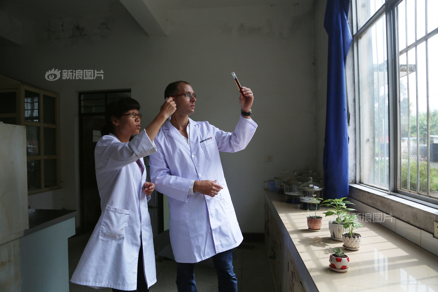 神秘的中国绿卡到底是个啥?