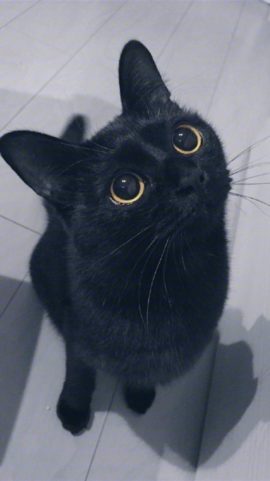 手机壁纸第72期:来自古老的埃及的13张酷酷的