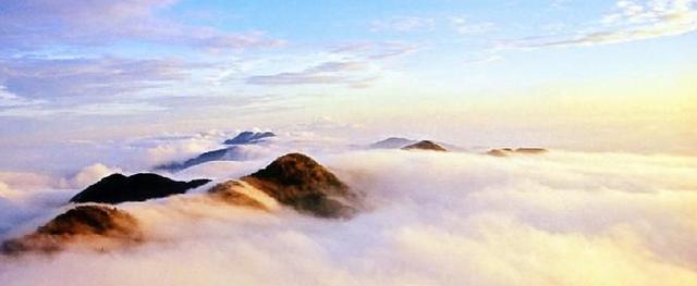 三亚一品楼品凤楼网站论坛盘点与分析