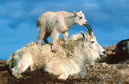 给大家分享一个真实的故事, 充满亲情, 感人肺腑