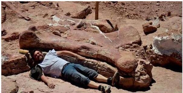 巨型恐龙到底有多大? 地震龙比蓝鲸还要长