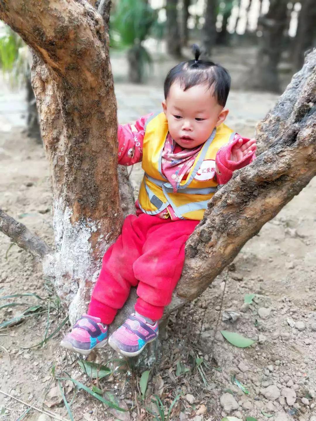 汇爱托班:孩子的成长到底需要什么?