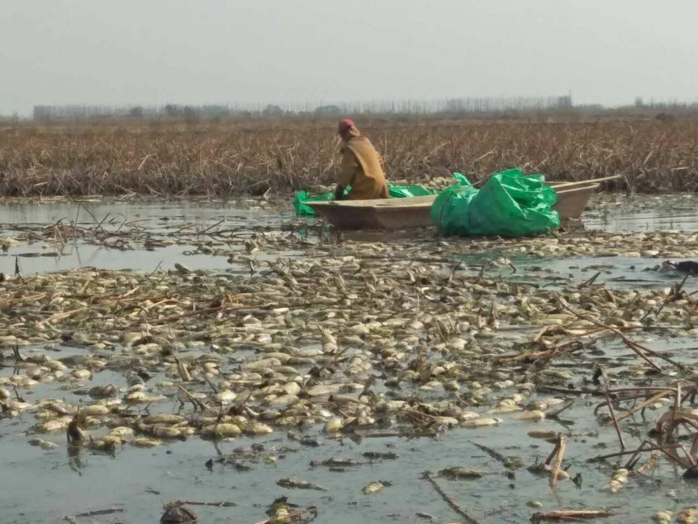 一天挣300-400元,看到工作环境后,很多人称干